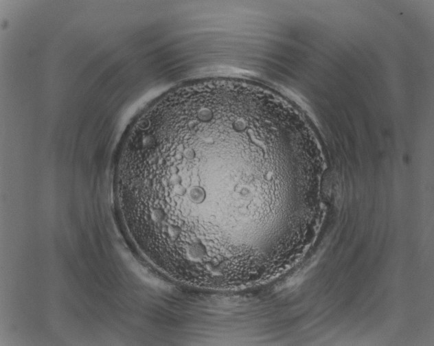 X0000068770987200605011022