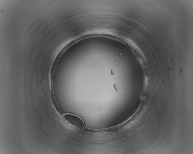 X0000068770988200605011022