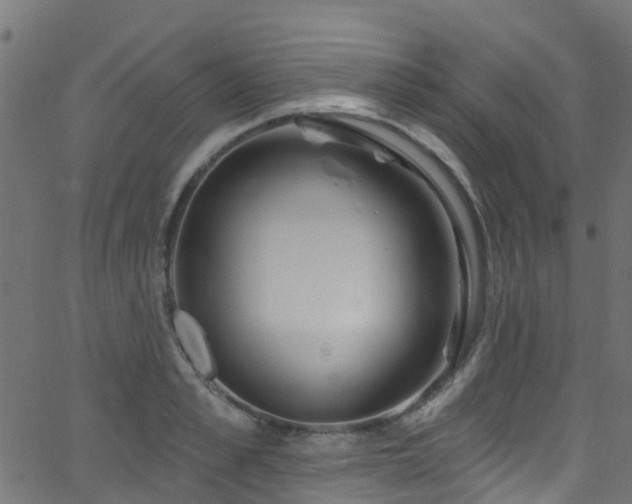 X0000068770989200605011022