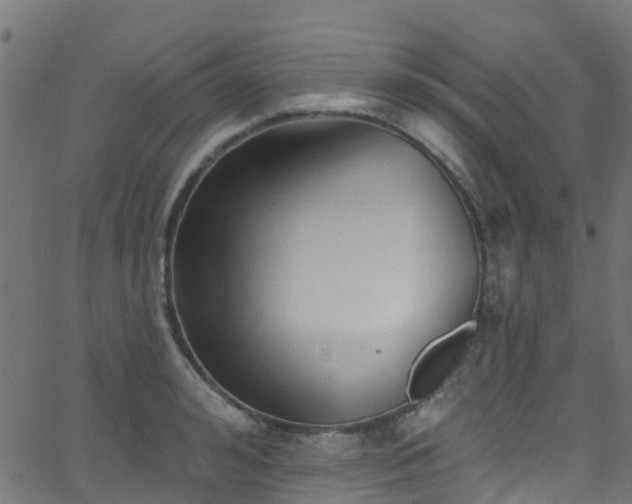 X0000068770992200605011022