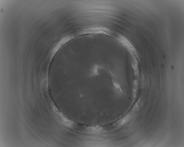 X0000068770994200605011022