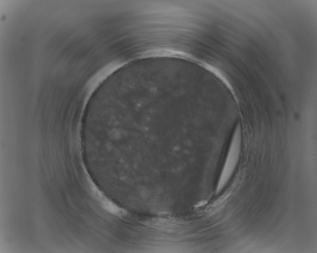 X0000068770995200605011022