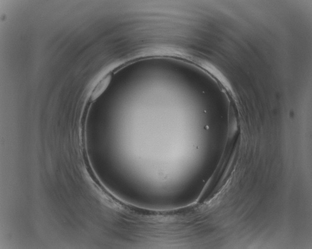 X0000068770996200605011022