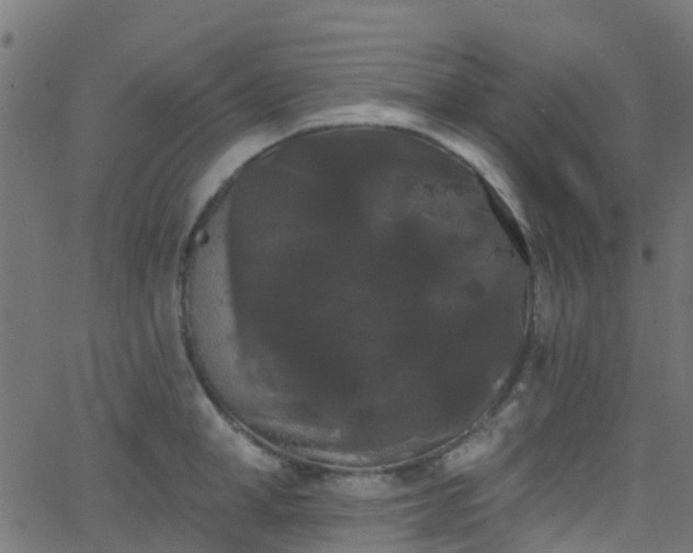 X0000068770998200605011022