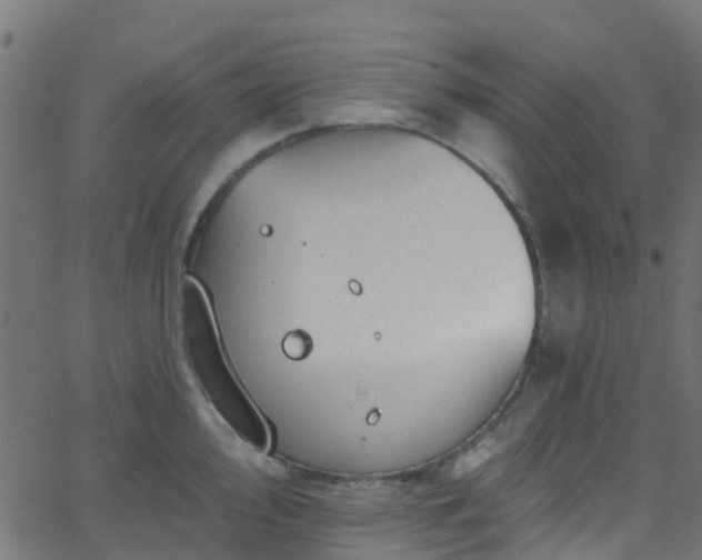 X0000068771000200605011022