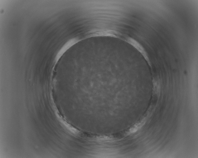 X0000068771002200605011022