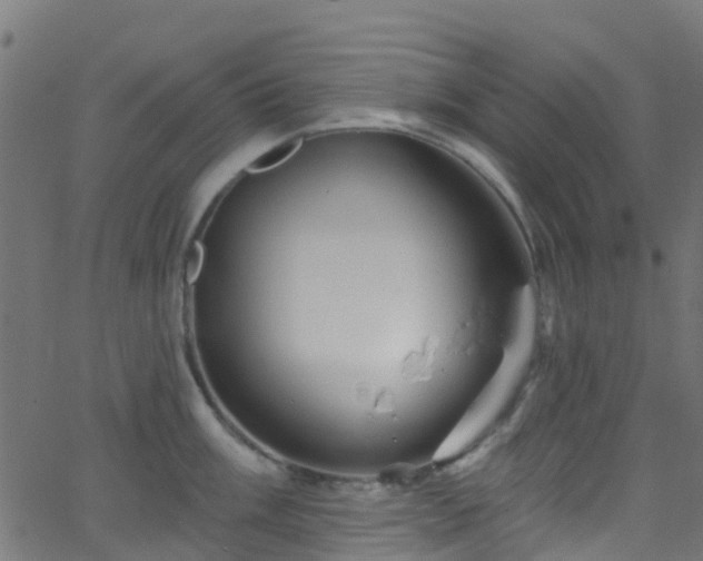 X0000068771003200605011022