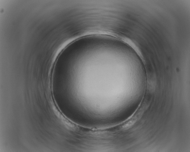 X0000068771004200605011022