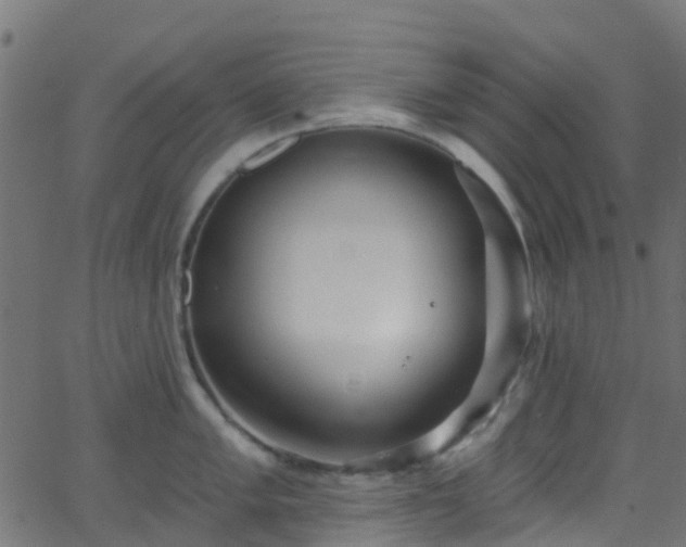 X0000068771005200605011022