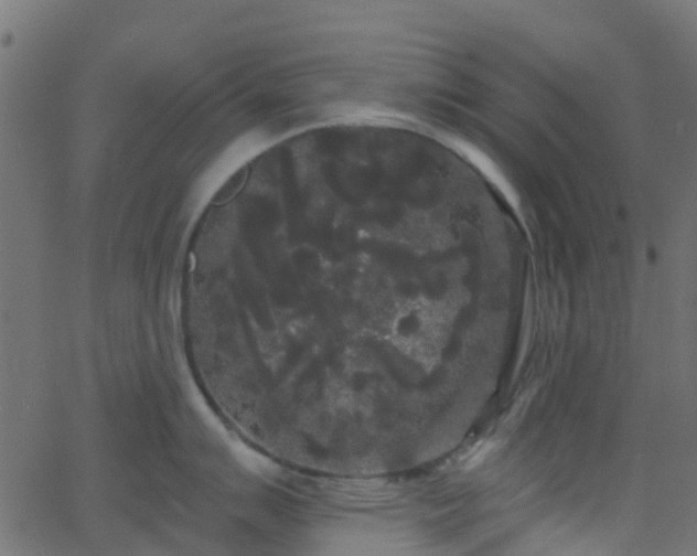 X0000068771007200605011022