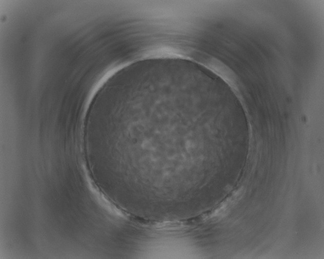 X0000068771008200605011022