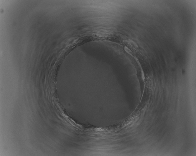 X0000068771009200605011021