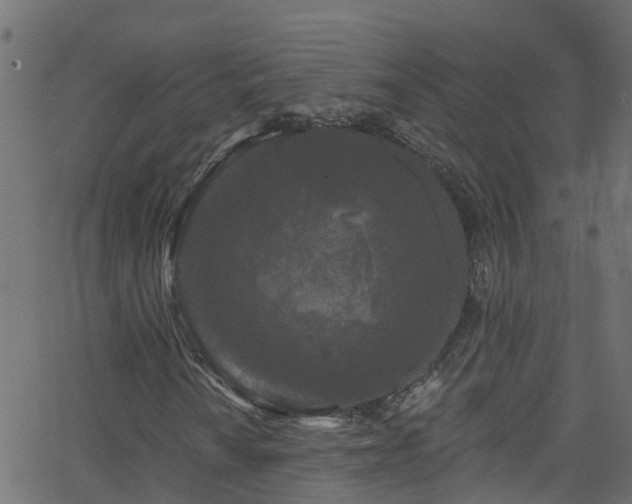 X0000068771010200605011021