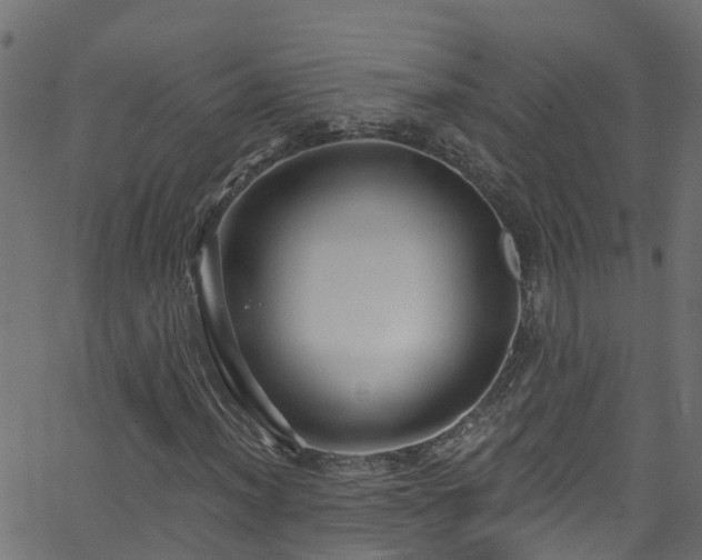 X0000068771012200605011021