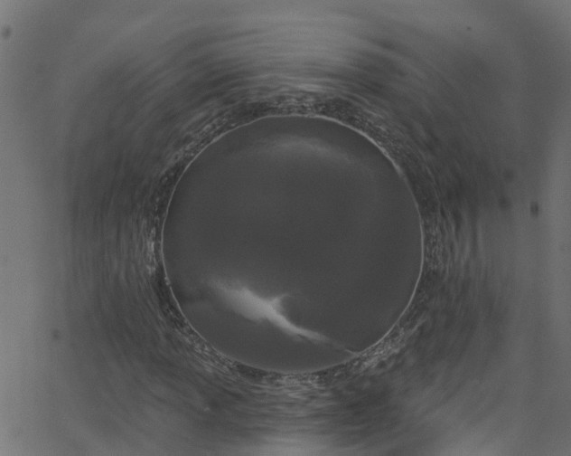 X0000068771013200605011021