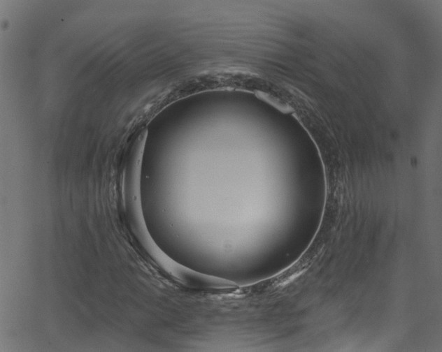 X0000068771014200605011021