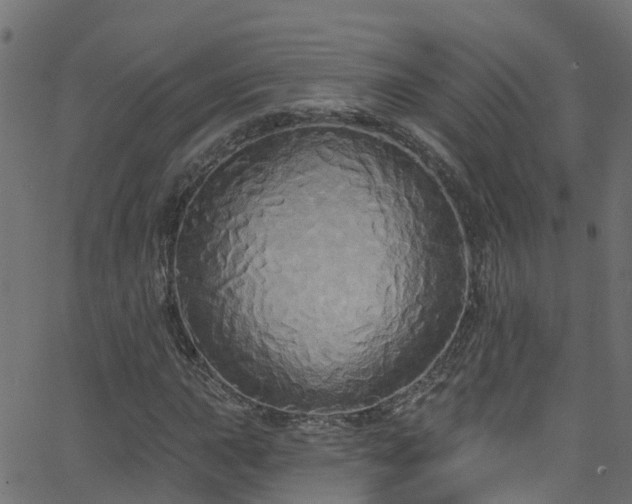 X0000068771015200605011021