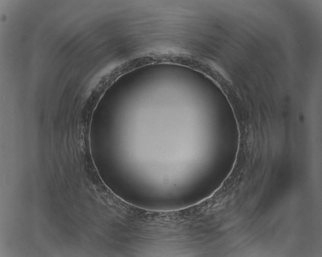 X0000068771016200605011021