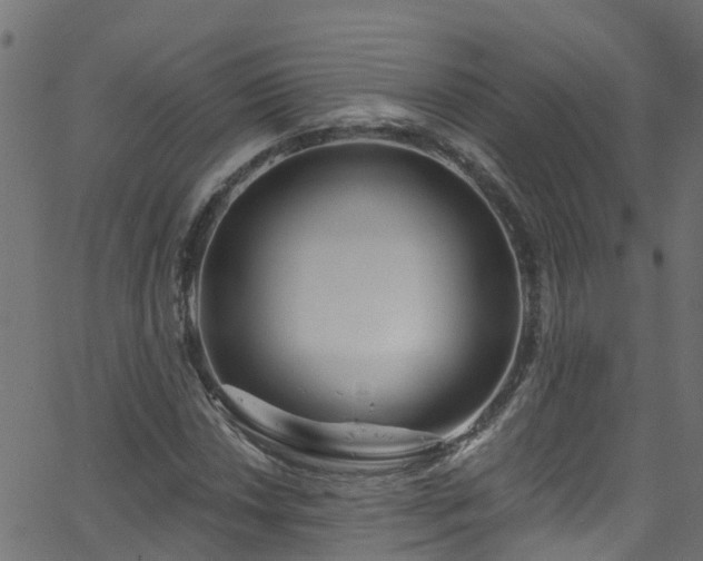 X0000068771018200605011021