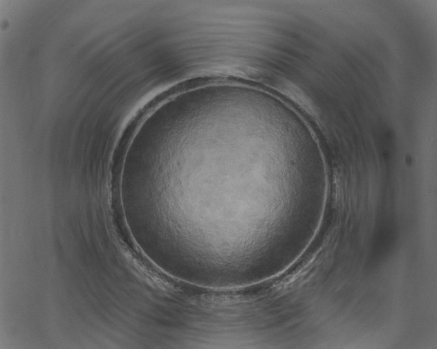 X0000068771020200605011021