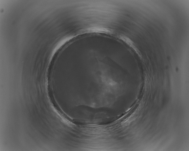 X0000068771024200605011021