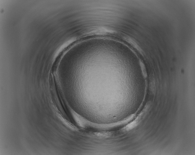 X0000068771026200605011021