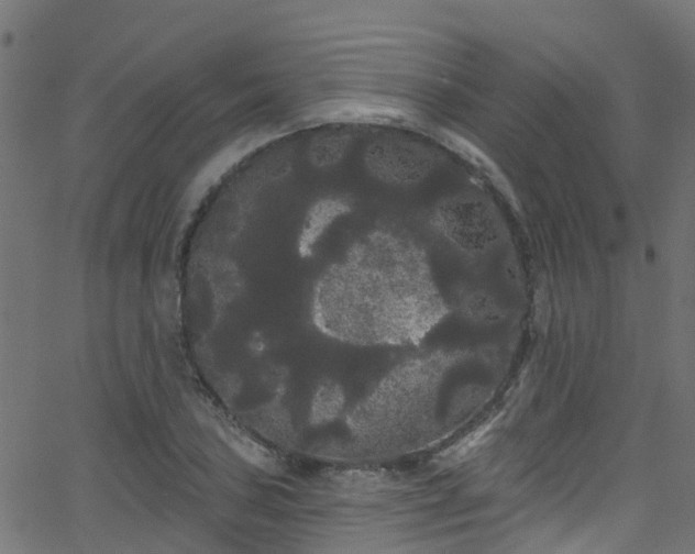 X0000068771027200605011021