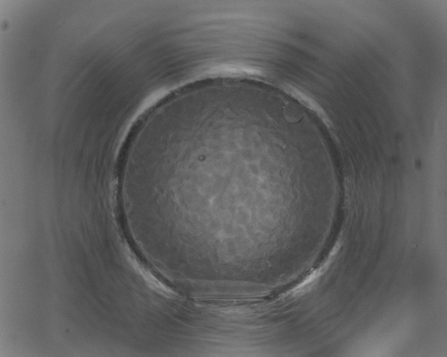 X0000068771029200605011022