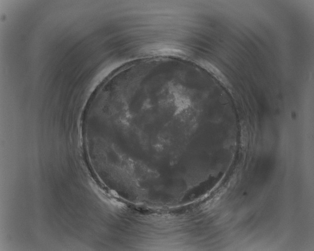 X0000068771031200605011022