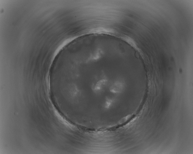 X0000068771032200605011022