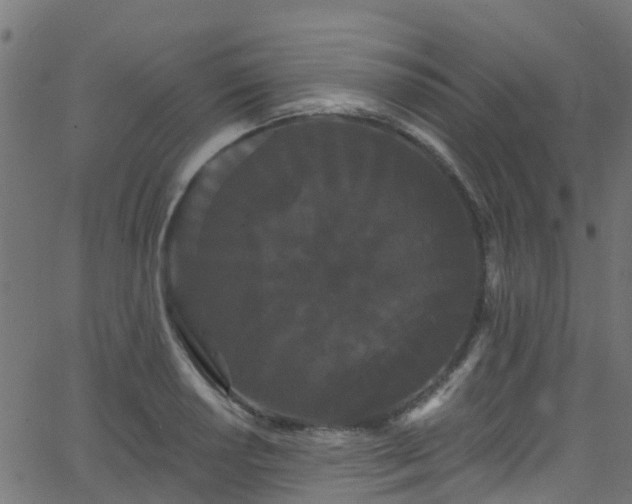 X0000068771034200605011022