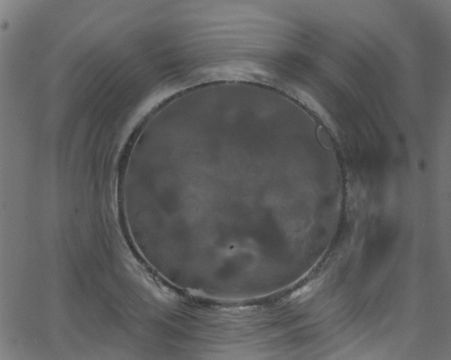 X0000068771035200605011022