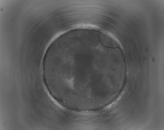 X0000068771037200605011022