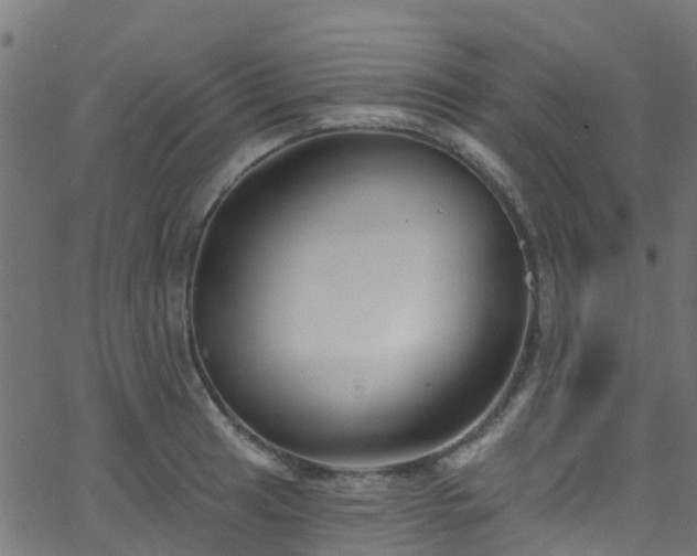 X0000068771041200605011022