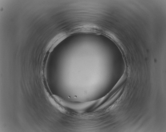 X0000068771042200605011022