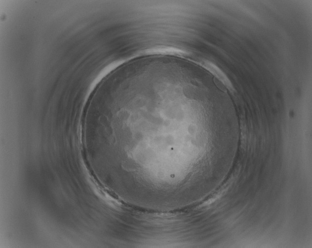 X0000068771044200605011022