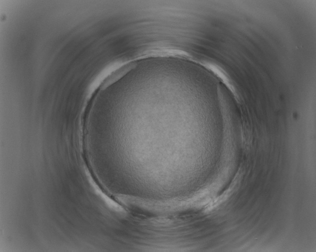 X0000068771046200605011022