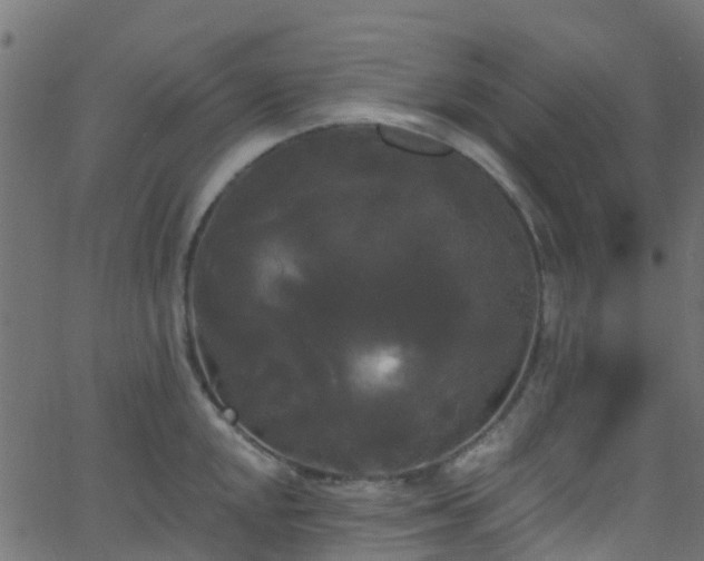 X0000068771048200605011022