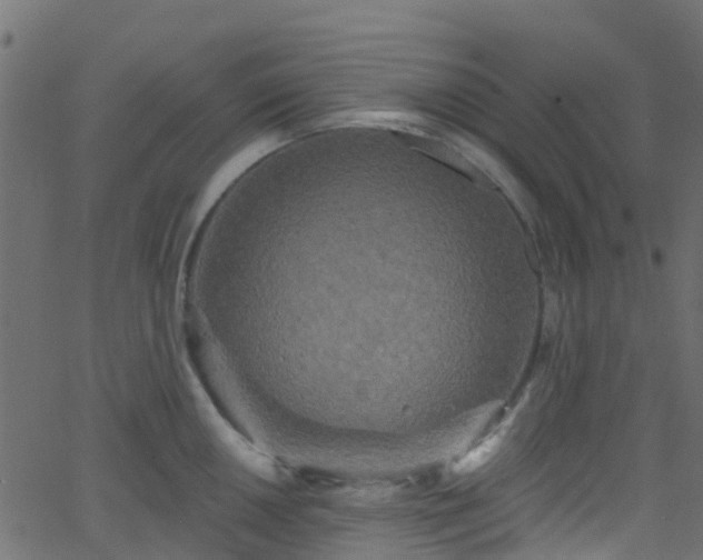 X0000068771050200605011022