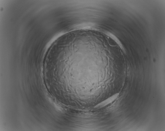 X0000068771051200605011022