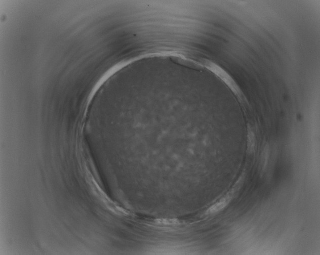 X0000068771052200605011022