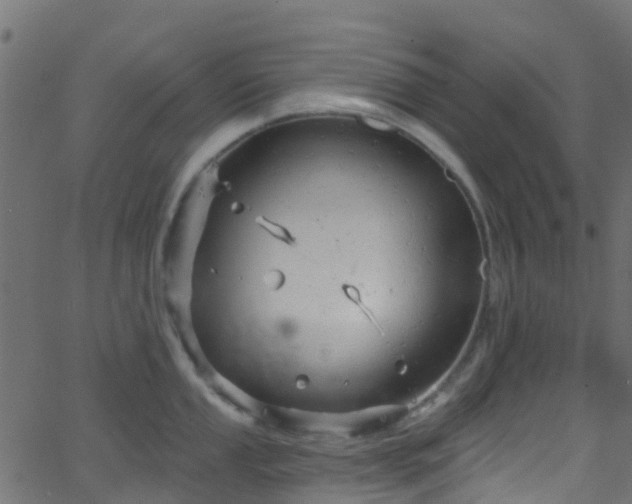 X0000068771053200605011022