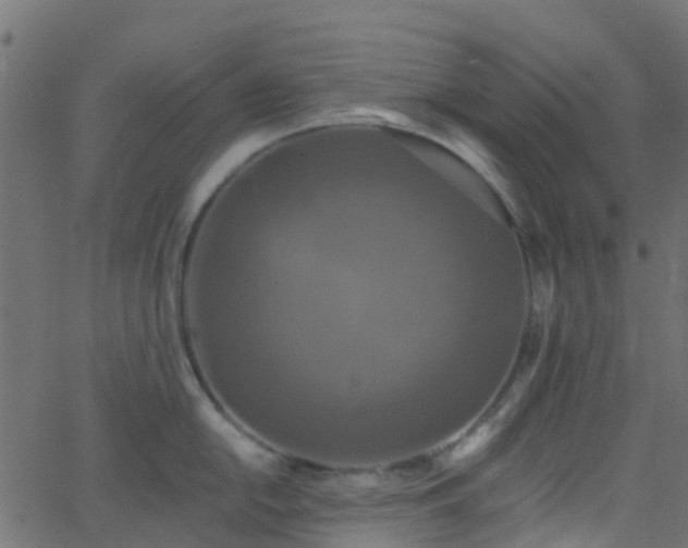 X0000068771054200605011022