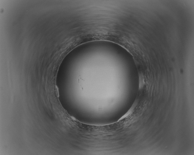 X0000068771057200605011021