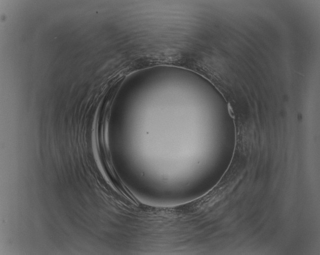 X0000068771058200605011021