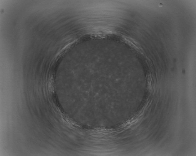 X0000068771060200605011021