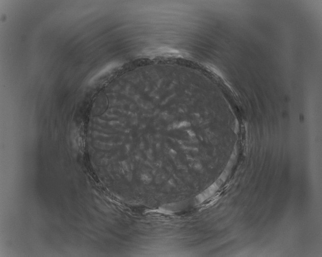 X0000068771063200605011021