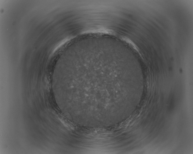 X0000068771064200605011021