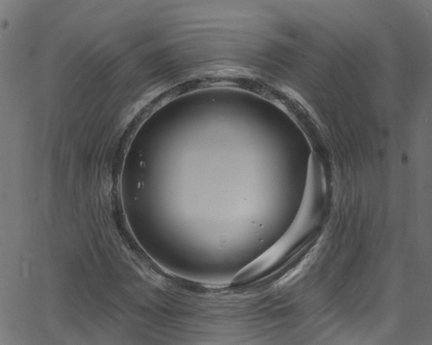 X0000068771065200605011021