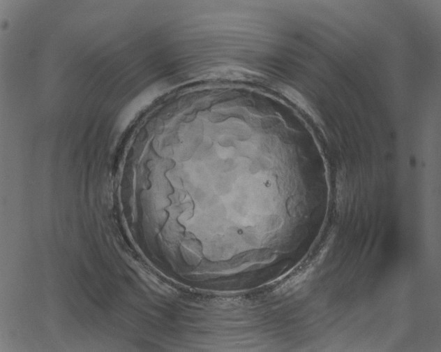 X0000068771067200605011021